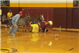 4 people pulling their donkeys while going after the basketball